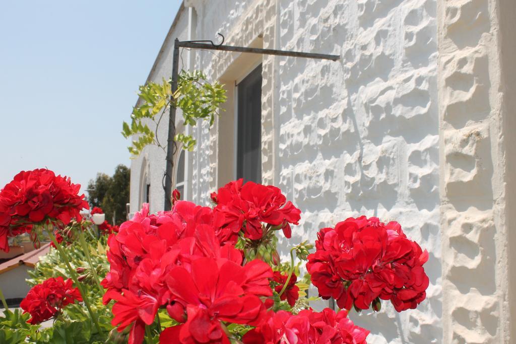 B&B Stella Marina Manfredonia Exteriér fotografie
